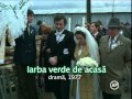 Iarba Verde De Acasă Un Film De Stere Gulea