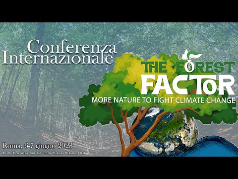 "The Forest factor" - Conferenza internazionale dell'Arma dei Carabinieri - 6 giugno 2023