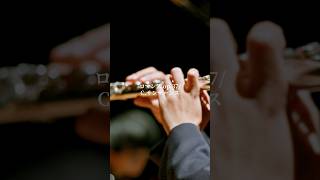 Download lagu いい曲すぎ・・・ ロマンス op.37 C.サンサーンス #フルート #音楽 #ピアノ #flute #flutemusic #piano #pianomusic mp3