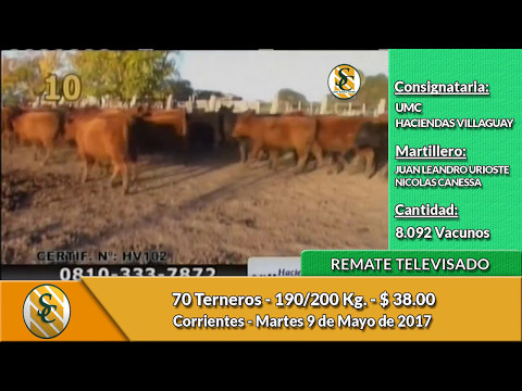 09-05-17 - Ventas UMC & Haciendas Villaguay - Corrientes