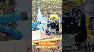 Download lagu Test Mesin alkon gambino 1,5inch #short#irigasi#waterpump mp3 Download lagu Test Mesin alkon gambino 1,5inch #short#irigasi#waterpump mp3