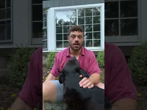 What To Take What To Avoid During Pregnancy