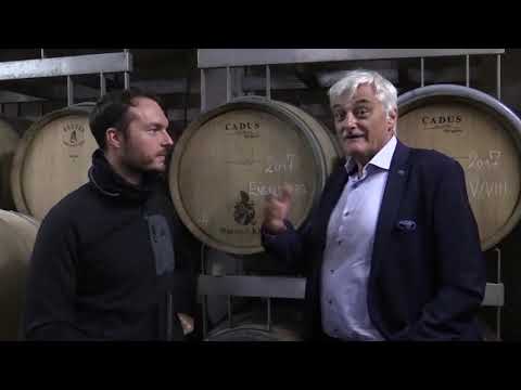 VIF Wein des Monats November: Spätburgunder Barrique vom Weingut KNAB, Baden