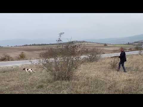 Ömür Av - 2021 Video 1 Ömür Av - 2021 Video 1