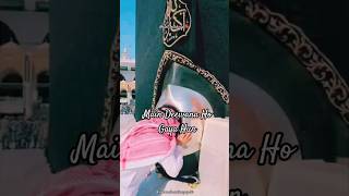 main Deewana Ho Gaya Hu🫀❤️‍🩹#yarasoolallah#madina#trending#suidi #sadiya #mazaj #zaa #sudiya #arbic