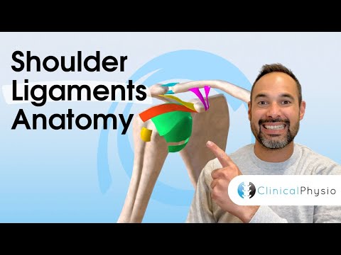 Clinical Anatomy of Shoulder Ligaments | Expert Physio Guide