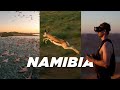 Africa Wildlife Cinematic FPV