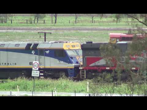 PHC002+EL64+CF4408 Werris Creek