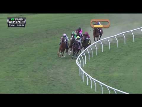 RACE REPLAY: 2017 The Very One Stakes Featuring Suffused