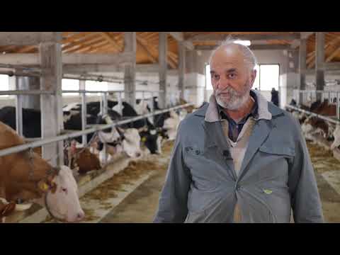 Naša priča ep. 239 19.03.2020. Tov junadi, mlečno govedarstvo, gazdinstvo Lukić, selo Subotica