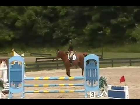 Sophie Reiter Child Adult Jumpers HITS 5