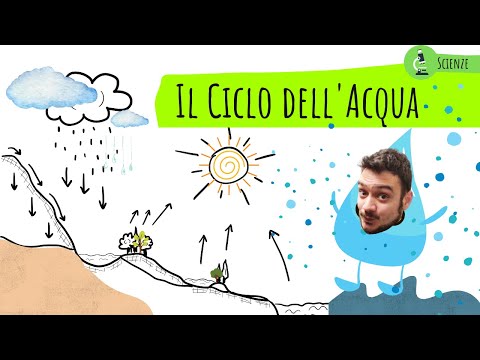 THE WATER CYCLE - Science explained EASILY