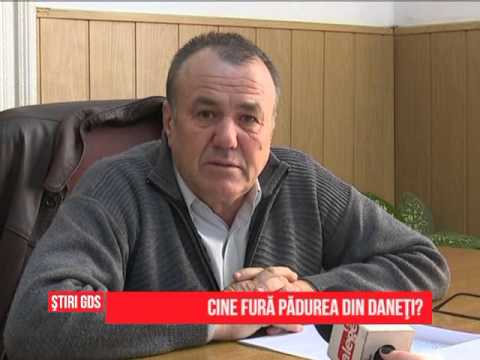 Cine fură pădurea din Daneţi?