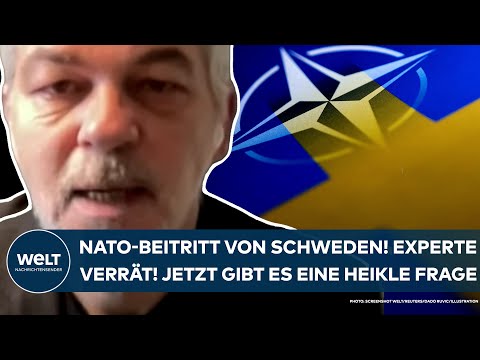 PUTINS KRIEG: NATO-Beitritt von Schweden? Militärexperte verrät! Jetzt gibt es eine heikle Frage