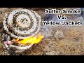 Sulfur Smoke Bomb Vs Yellow Jacket Hornet Nest Mousetrap Monday
