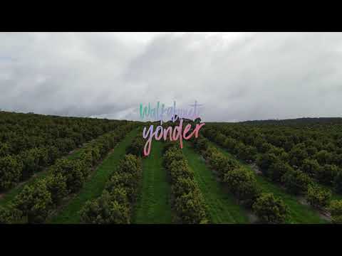 Online Store Coming Soon