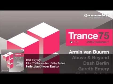 John O'Callaghan feat. Cathy Burton - Perfection (Shogun Remix)