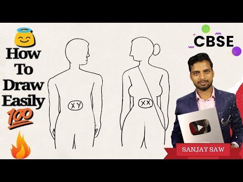 How to draw Sex Determination in Human| Class 10 |explanation Video