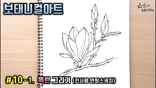 [꽃그림/보태니컬아트] #10-1. 목련(Magnolia) 연필 스케치 (꽃그림강좌 - 봄꽃그리기) 연필 전사과정