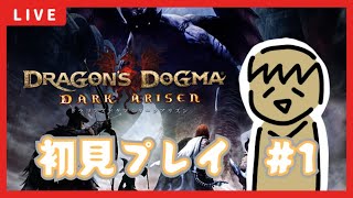 【DRAGONS DOGMA DARK ARISEN】新人覚者、初見でがんばります。【1日目】