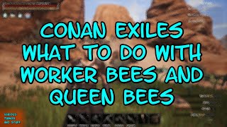 Conan Exiles What to Do With Worker Bees and Queen Bees
