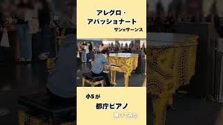 Download lagu アレグロ・アパッショナート/サン=サーンスを都庁で弾いてみた　#ピアノ #小学生 #都庁ピアノ #弾いてみた #サンサーンス mp3