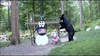 EarthCam Live: Snowman Cam - Animals and Wildlife (Gaylord, Michigan) live webcam