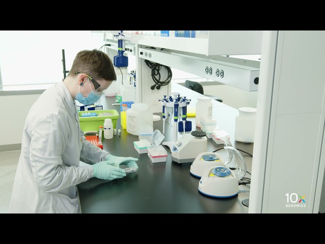 10x Genomics product / service