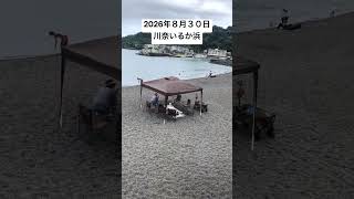 2026年８月３０日川奈いるか浜の様子
