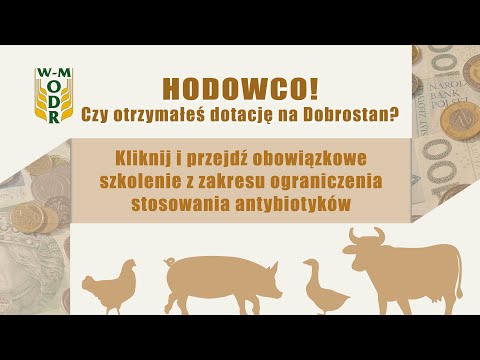Metody ograniczające stosowanie antybiotyków w produkcji zwierzęcej – SZKOLENIE dla beneficjentów ekoschematu Dobrostan zwierząt
