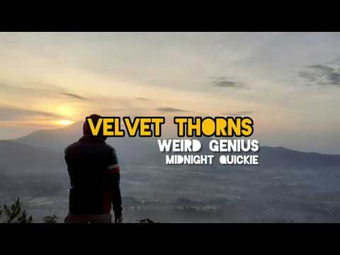 Velvet Thorns Weird Genius with lyric