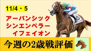【11月1週目勝ち上がり2歳馬評価】出世レース百日草特別をアーバンシックが制す！！京王杯もコラソンビートが勝ち、スワーヴリチャード絶好調の週末に。