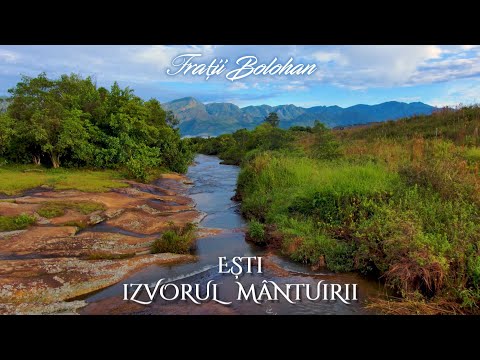 Fratii Bolohan | Esti izvorul mantuirii