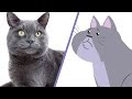 What Cats Really Think Of You 