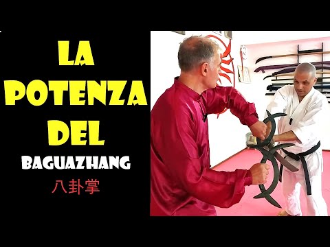 Kung Fu: Maestro di Baguazhang mi mostra il suo stile!