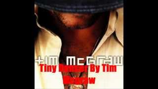 Tiny Dancer By Tim McGraw *Lyrics in description*