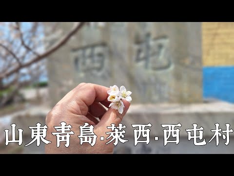 山東 青島 - 萊西市 西屯村 Xitun Village, Laixi City (Qingdao, Shandong Province)