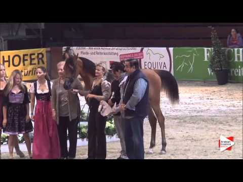 3rd Place N.21 SCAHRTEYN ARA - Wels 2015 - National Jr Colts Championship (Class 16)