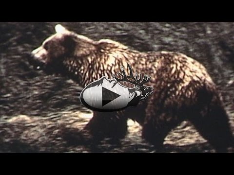 Hunting in Grizzly Country: Then and Now