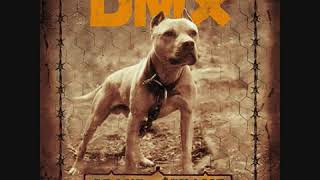 DMX - Don't Gotta Go Home