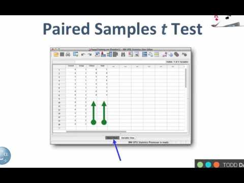 11-5 Paired Samples t Test in SPSS