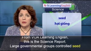 Phát âm chuẩn - Anh ngữ đặc biệt: Africa Seeds (VOA)