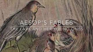 Aesop’s Fables The Lark and Her Young Ones