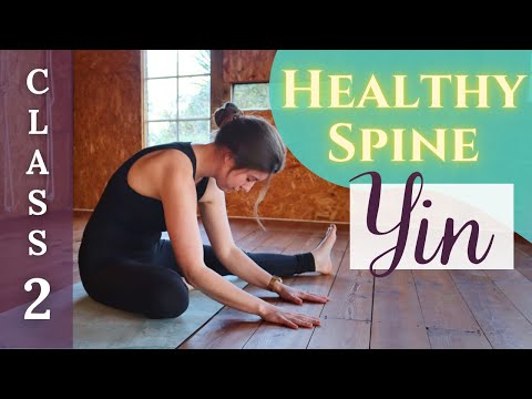 60-min Yoga for Spinal Health - Full Yin Yoga Class Deep Back Stretches (Yin Yoga Challenge Class 2)