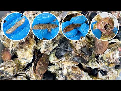 牡蠣の殻にくっついてるキモ生物ぜんぶ食う