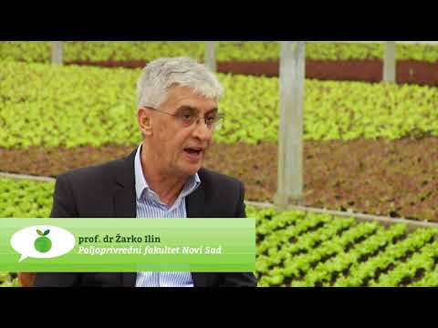 Reč struke ep. 124 31.10.2017. - Proizvodnja povrća u zaštićenom prostoru