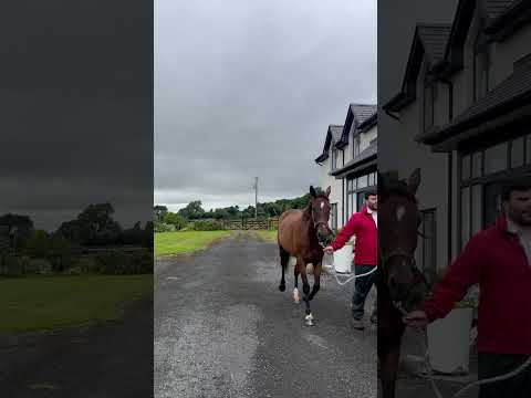 Video 1