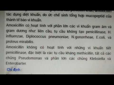 CLEDOMOX 1000 THÔNG TIN THUỐC CHỮA BỆNH