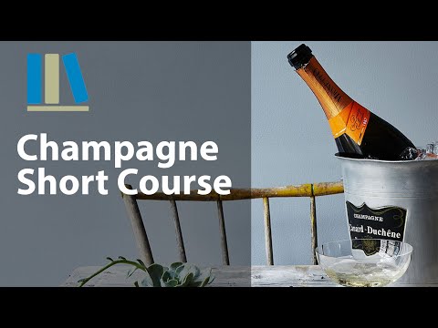CHAMPAGNE SHORT COURSE - Food and Beverage Service Training #16