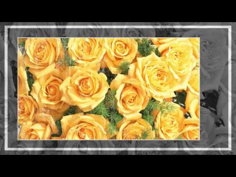 download lagu mp3 mp4 Rose Jaune, download lagu Rose Jaune gratis, unduh video klip Rose Jaune